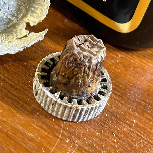 古酒ウィスキーは、どのように保管すべきか。
