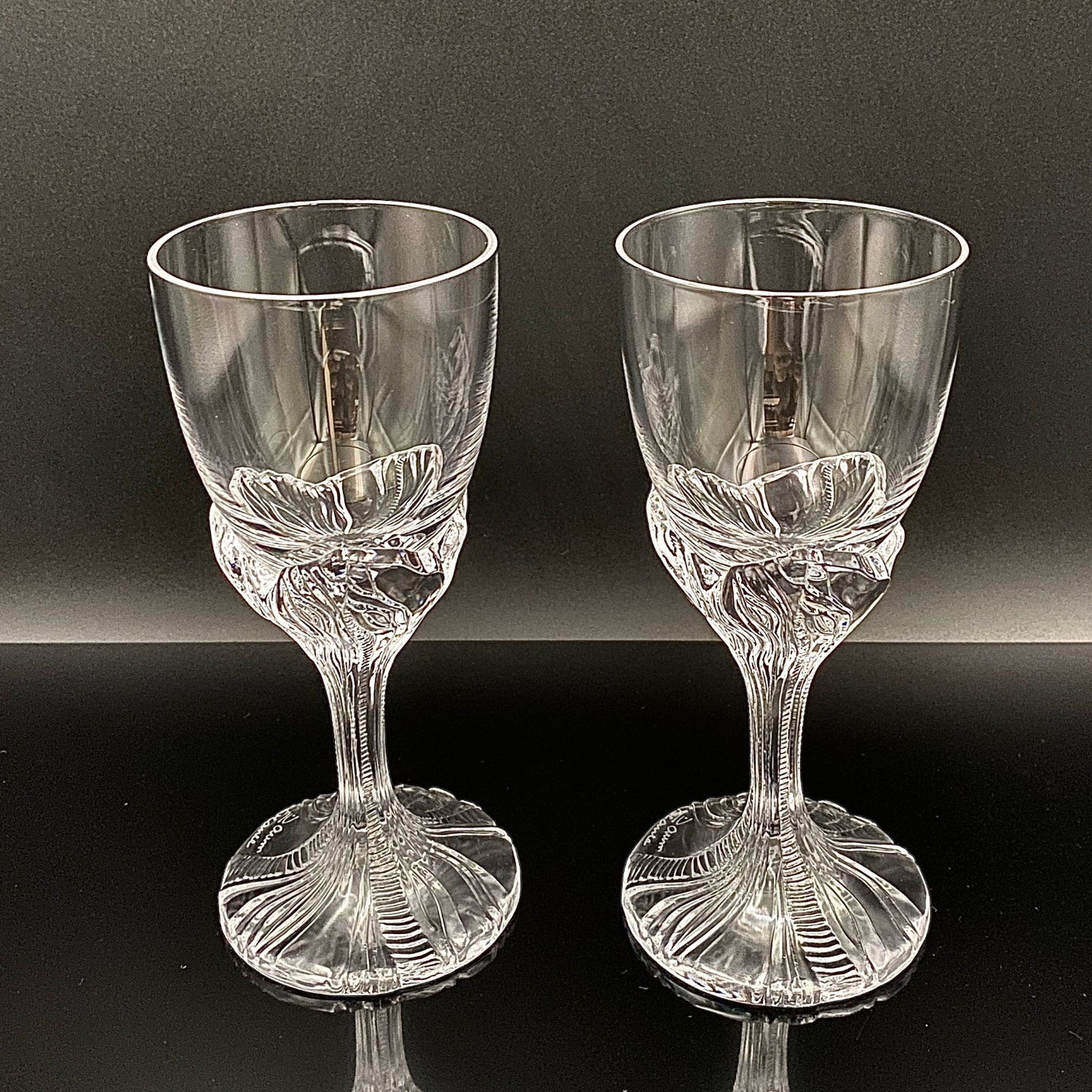 DAUM（ドーム）クリスタル Fougère（フジェール）モデル グラス２点セット #36