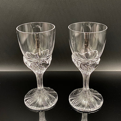 DAUM（ドーム）クリスタル Fougère（フジェール）モデル グラス２点セット #36
