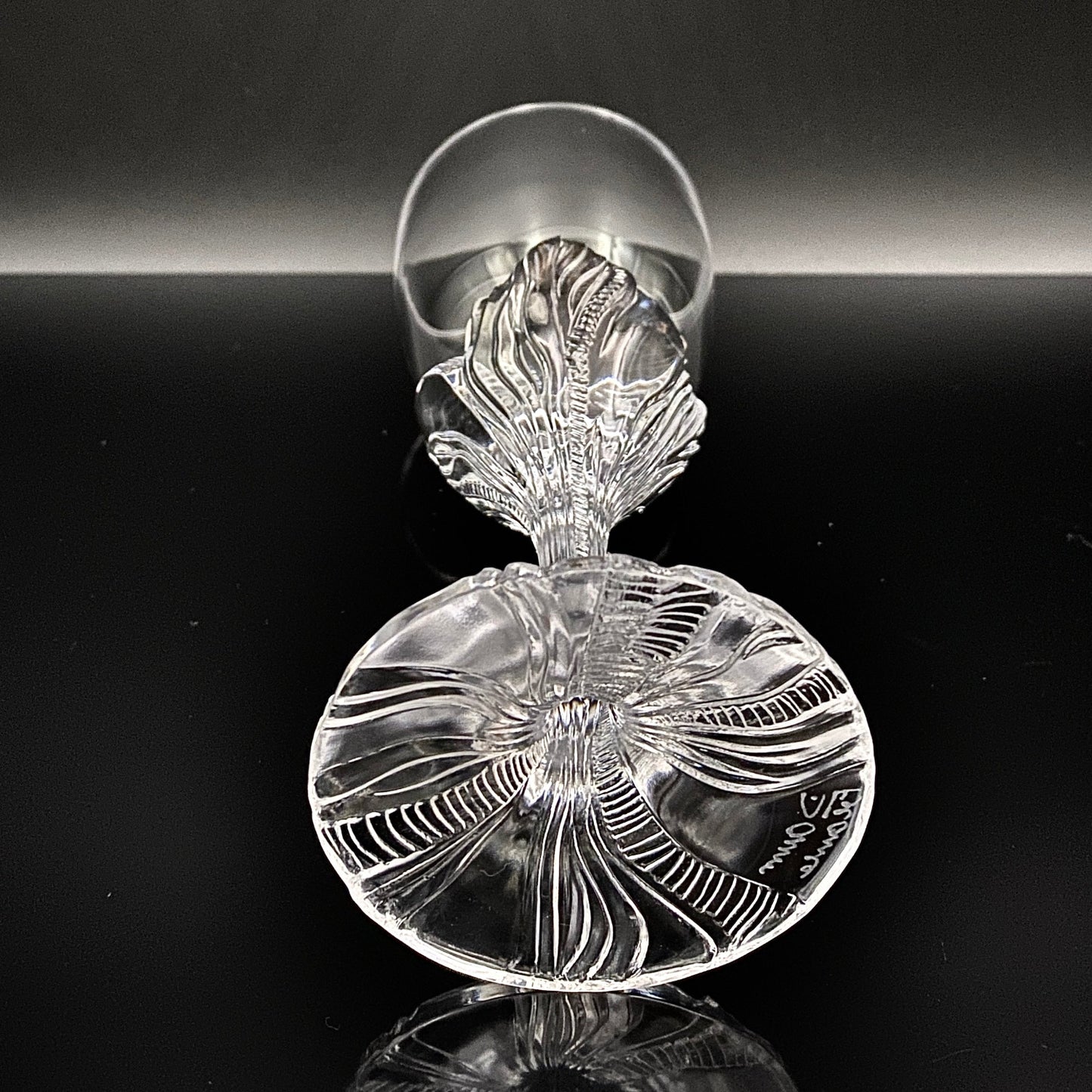 DAUM（ドーム）クリスタル Fougère（フジェール）モデル グラス２点セット #36