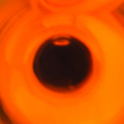 1970年代半ば流通、WHITE HORSE DISTILLERS LTD. グレンエルギン（GLEN ELGIN）12年、750ml、43% #69