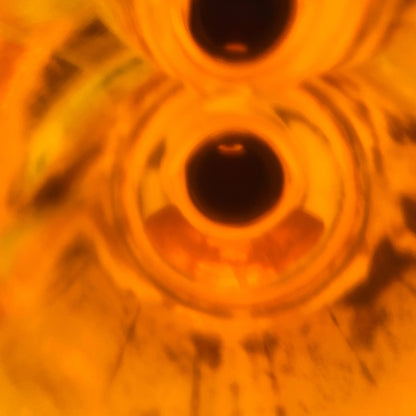 1980年代流通、ロイヤルロッホナガー（ROYAL LOCHNAGAR）12年、750ml, 43% #67