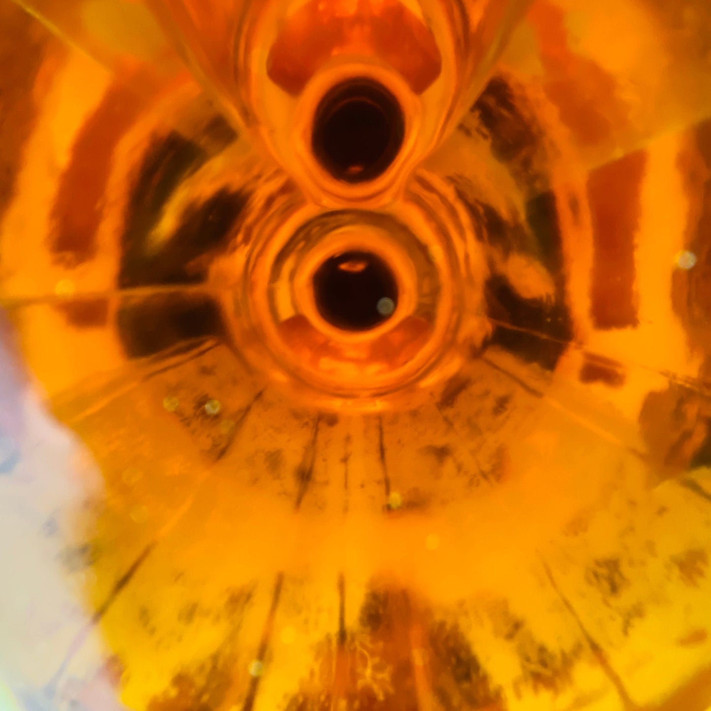 1980年代流通、ロイヤルロッホナガー（ROYAL LOCHNAGAR）12年、750ml, 43% #67