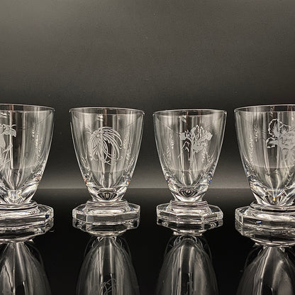 DAUM CRYSTAL（ドームクリスタル） Vette de Saison（ヴェット・ドゥ・セゾン） 花文彫刻 グラス6点セット #73