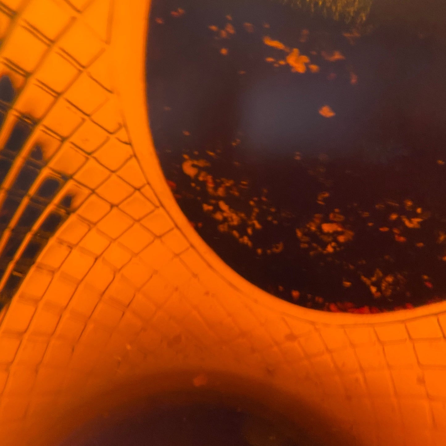 1980年代流通、ハウスオブピアーズ（House of Peers）22年、スコッチモルトウィスキー、750ml, 43% #107