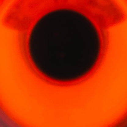 1980年代後半流通、山崎12年 ピュアモルト（YAMAZAKI PURE MALT） ウイスキー特級、760ml、43%