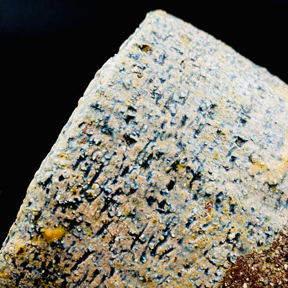 北国風雪賞受賞 能登大社焼創始者 磯見 忠司 作 真葉手 筒茶碗 和のロックグラス #441