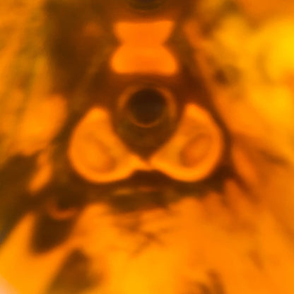 1970年代流通、グレンフィディック（Glenfiddich）8年ピュアモルト、26 2/3 Fl.ozs. 86° U.S. Proof クリアボトル #117