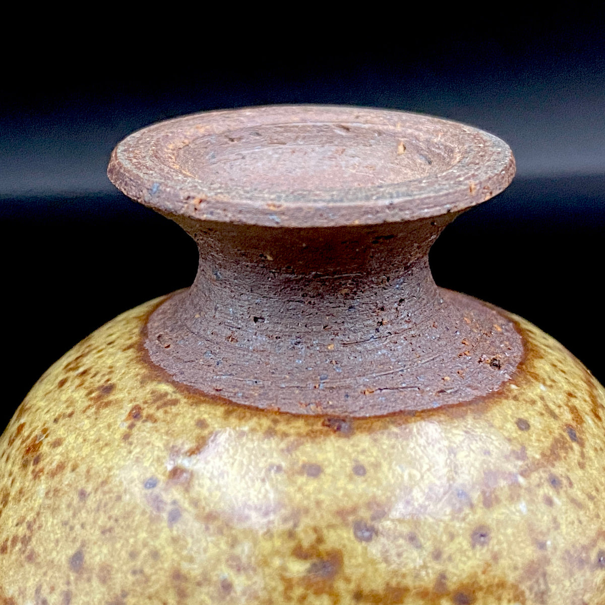 北国風雪賞受賞 能登大社焼創始者 磯見忠司 作 真葉手 酒盃 高足盃 和のショットグラス 古酒用酒器 #443