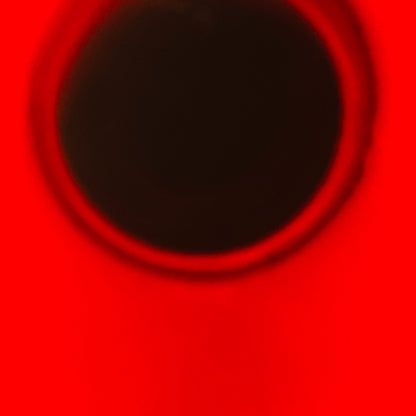 1980年代後半流通、アーマー （ARMOR）グレンファークラス 20年、750ml、43%、ウイスキー特級 #122