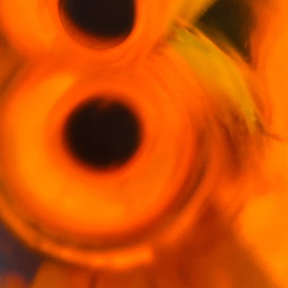 1970年代半ば流通、WHITE HORSE DISTILLERS LTD. グレンエルギン（GLEN ELGIN）12年、750ml、43% #150