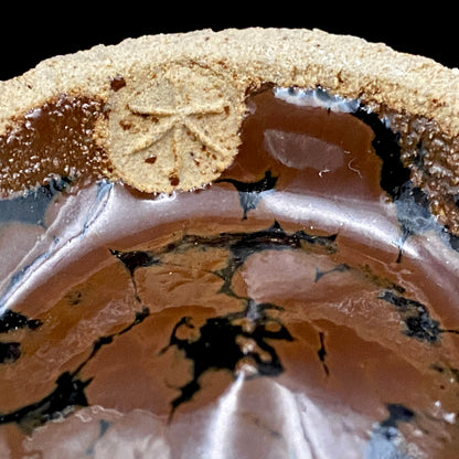 宮内庁東宮御所御用品制作作家 木村 一郎 作 黒柿釉茶盌 和のロックグラス 古酒用酒器  #464