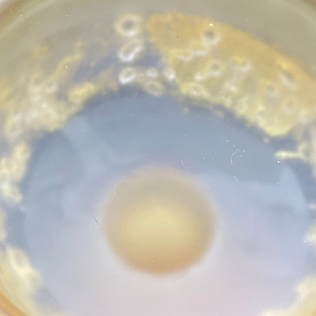 Aomori Prefecture Art and Culture Award Recipient, Tsugaru Vidro, Hokuyo Glass, Kaoru Okawa: Frosted Glass Stem Cup (Bajohai) with Gold-Tone Foil and Applied Glass Beads #471