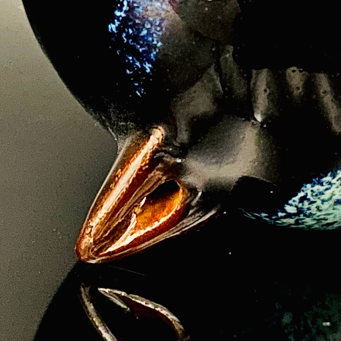 内閣総理大臣賞受賞作家 平安 宋丘 三代目 (久保 義蔵) 作 天目窯変 水滴 ウォータードロッパー ウィスキードロッパー #191