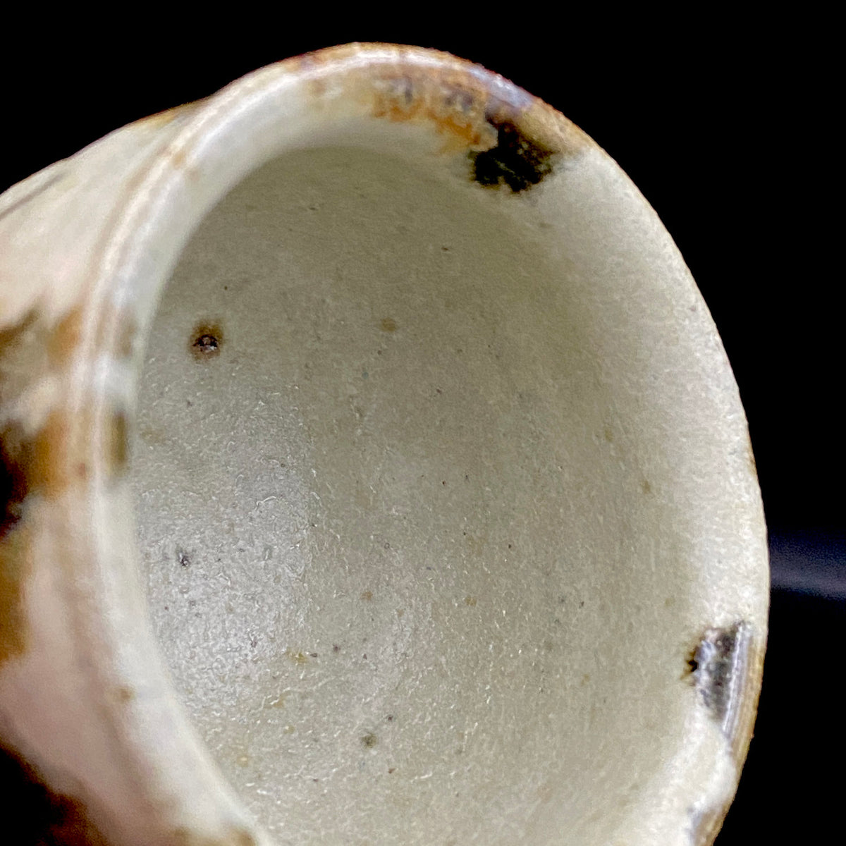 川尻浩史 Kawajiri Hiroshi 益子 Mashiko ware 益子烧 ぐい呑 guinomi sake cup 酒盏 ショットグラス shot glass 烈酒杯 (45/51)