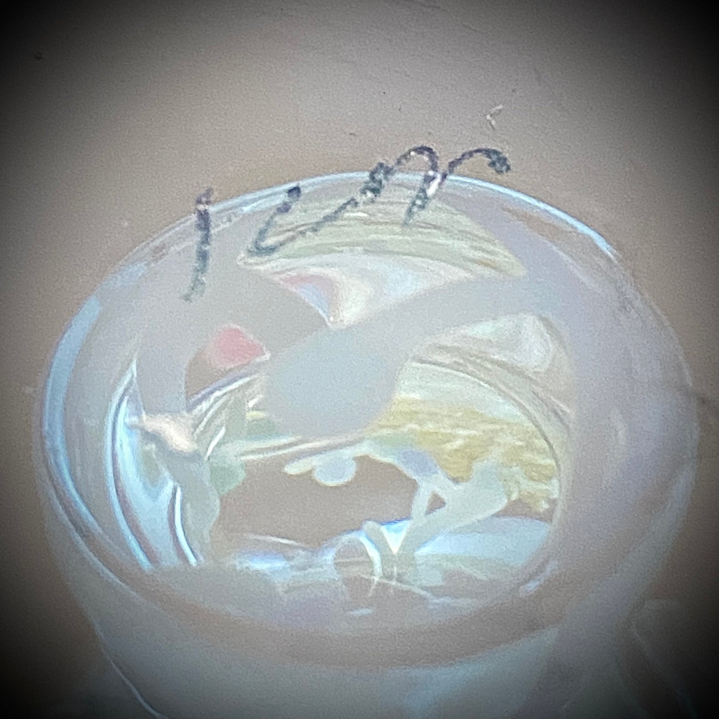 Koji Ishii Handmade Blown Glass Gilded Horseback Sake Cup White Glass Jellyfish #215