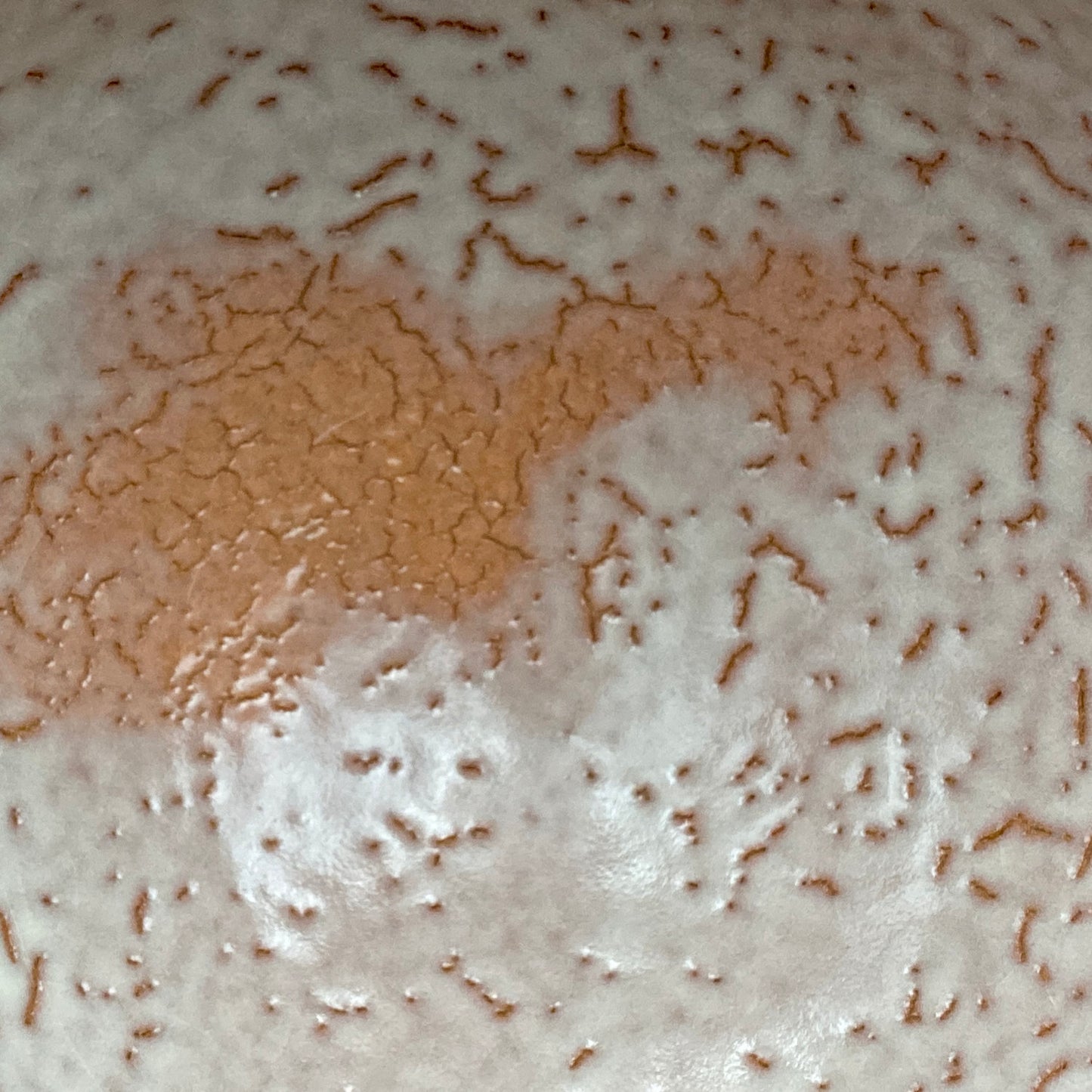 Purchased by Former Prime Ministers of Japan: Master Isshin Morishima, Hagi Ware Katamigawari Tea Bowl with Loquat-Toned Base and Shirahagi Glaze, Whisky Rock Glass-Style Sake Vessel #300