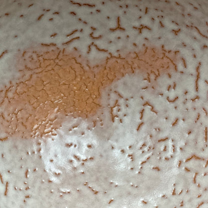 Purchased by Former Prime Ministers of Japan: Master Isshin Morishima, Hagi Ware Katamigawari Tea Bowl with Loquat-Toned Base and Shirahagi Glaze, Whisky Rock Glass-Style Sake Vessel #300