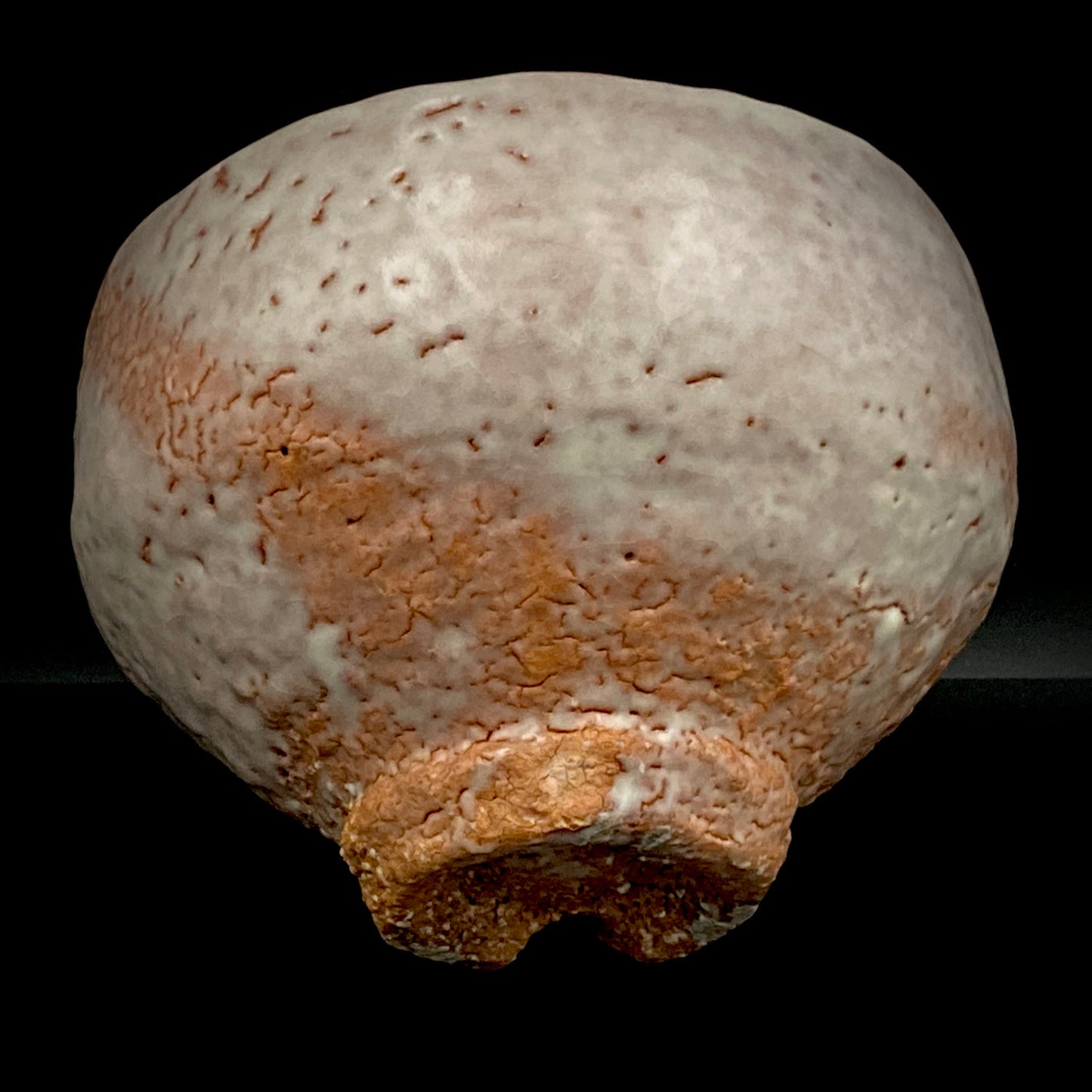 Purchased by Former Prime Ministers of Japan: Master Isshin Morishima, Hagi Ware Katamigawari Tea Bowl with Loquat-Toned Base and Shirahagi Glaze, Whisky Rock Glass-Style Sake Vessel #300