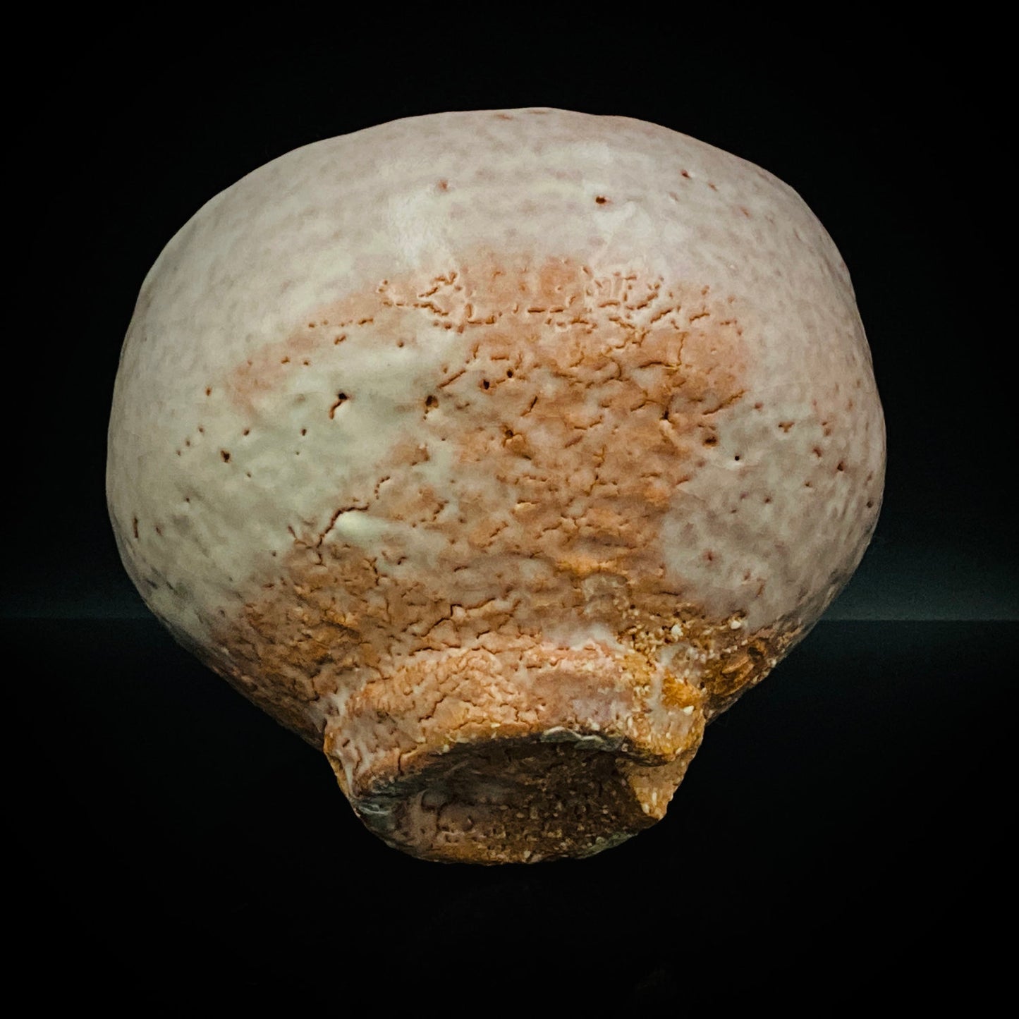 Purchased by Former Prime Ministers of Japan: Master Isshin Morishima, Hagi Ware Katamigawari Tea Bowl with Loquat-Toned Base and Shirahagi Glaze, Whisky Rock Glass-Style Sake Vessel #300