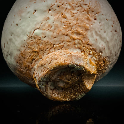 Purchased by Former Prime Ministers of Japan: Master Isshin Morishima, Hagi Ware Katamigawari Tea Bowl with Loquat-Toned Base and Shirahagi Glaze, Whisky Rock Glass-Style Sake Vessel #300