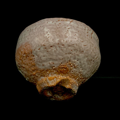 Purchased by Former Prime Ministers of Japan: Master Isshin Morishima, Hagi Ware Katamigawari Tea Bowl with Loquat-Toned Base and Shirahagi Glaze, Whisky Rock Glass-Style Sake Vessel #300