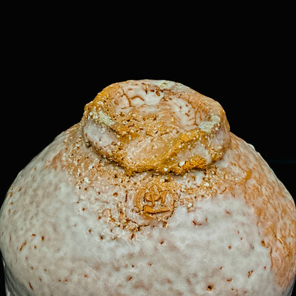 Purchased by Former Prime Ministers of Japan: Master Isshin Morishima, Hagi Ware Katamigawari Tea Bowl with Loquat-Toned Base and Shirahagi Glaze, Whisky Rock Glass-Style Sake Vessel #300