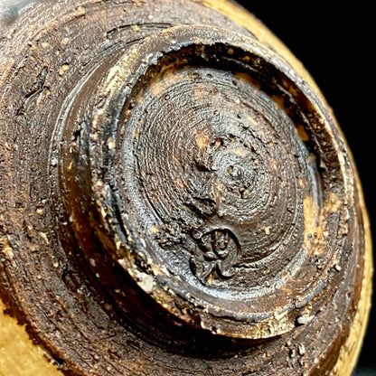 Prize Winner of the Minister of Education Award, Artist Permanently Collected in the Museum of Fine Arts, Boston - Mitsuo Kano: Iron-painted Hakeme Cylindrical Teabowl / Rock Glass #307