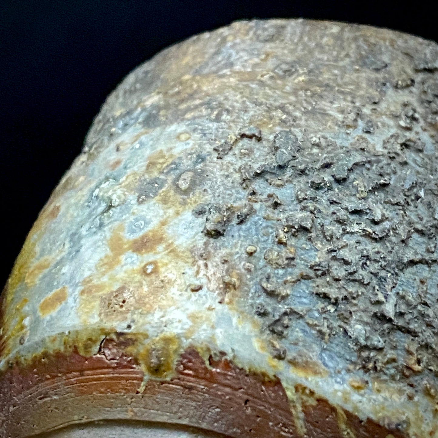 フランクフルト美術館収蔵作家 高原 昌治 作 備前焼 窯変胡麻灰被り酒呑 二大重要無形文化財保持者師事作品 #328