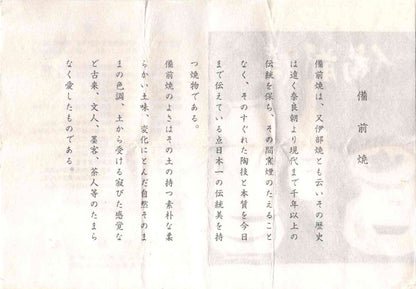 大英博物館・東京国立近代美術館収蔵作家 岡山県指定無形文化財保持者 伊勢崎 満 作 備前ぐい呑 穴窯焼成 窯変胡麻酒器 一点物 #301